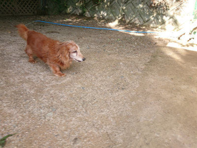 f:id:roukenhome-ann:20190613204059j:plain