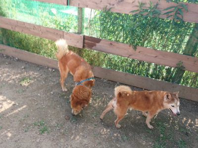 f:id:roukenhome-ann:20190613204106j:plain