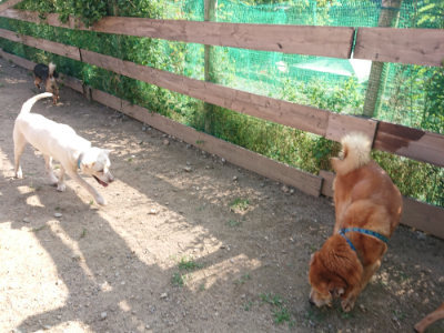 f:id:roukenhome-ann:20190613204112j:plain