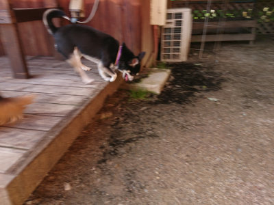 f:id:roukenhome-ann:20190613204124j:plain