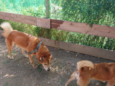 f:id:roukenhome-ann:20190613204129j:plain