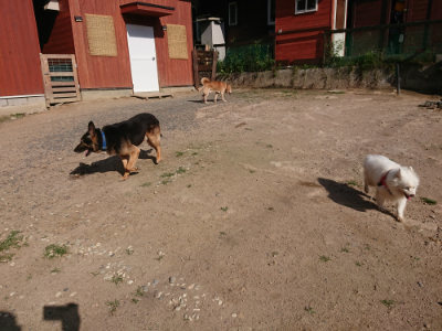 f:id:roukenhome-ann:20190613204210j:plain