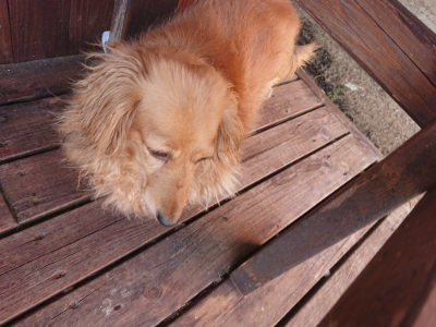 f:id:roukenhome-ann:20190613204215j:plain