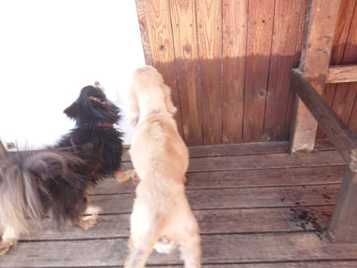 f:id:roukenhome-ann:20190613204221j:plain