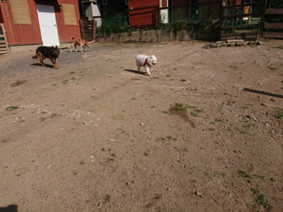 f:id:roukenhome-ann:20190613204227j:plain