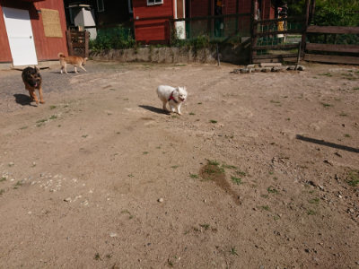 f:id:roukenhome-ann:20190613204234j:plain