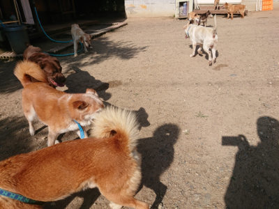 f:id:roukenhome-ann:20190613204251j:plain