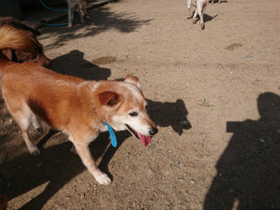 f:id:roukenhome-ann:20190613204257j:plain