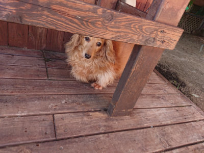 f:id:roukenhome-ann:20190613204314j:plain