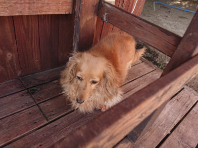 f:id:roukenhome-ann:20190613204320j:plain