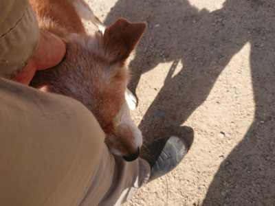 f:id:roukenhome-ann:20190613204327j:plain