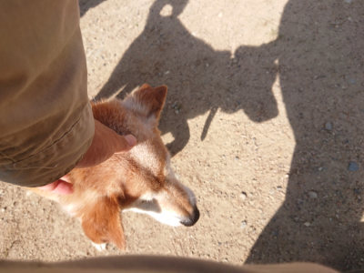 f:id:roukenhome-ann:20190613204331j:plain