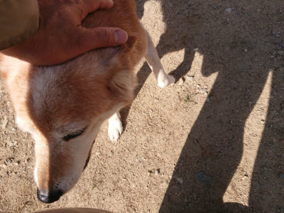 f:id:roukenhome-ann:20190613204359j:plain