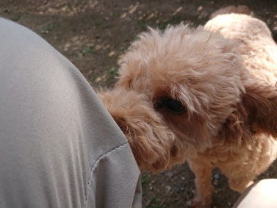 f:id:roukenhome-ann:20190613204406j:plain