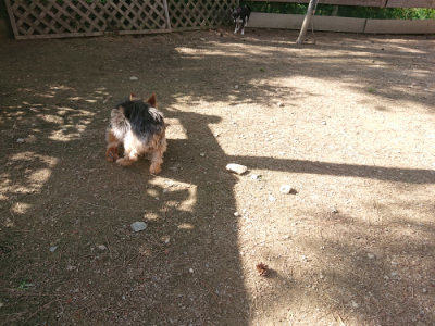 f:id:roukenhome-ann:20190613204412j:plain