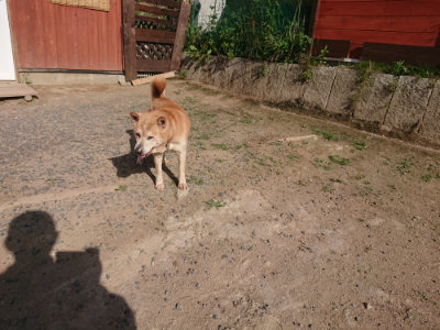 f:id:roukenhome-ann:20190613204433j:plain