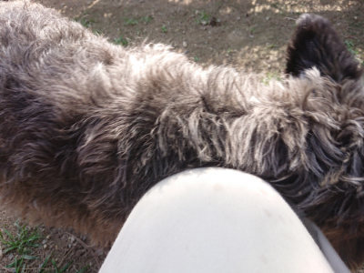 f:id:roukenhome-ann:20190613204440j:plain