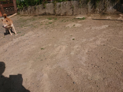 f:id:roukenhome-ann:20190613204500j:plain