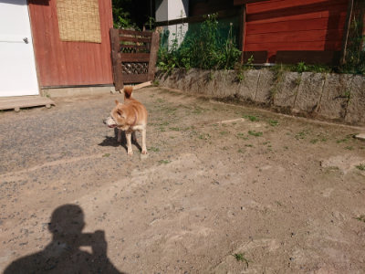 f:id:roukenhome-ann:20190613204505j:plain