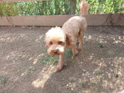 f:id:roukenhome-ann:20190613204511j:plain