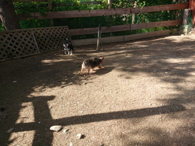 f:id:roukenhome-ann:20190613204518j:plain