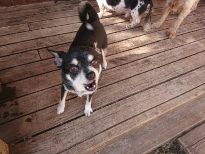 f:id:roukenhome-ann:20190613204523j:plain