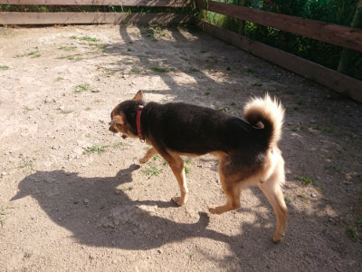 f:id:roukenhome-ann:20190613204530j:plain