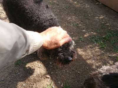 f:id:roukenhome-ann:20190613204536j:plain