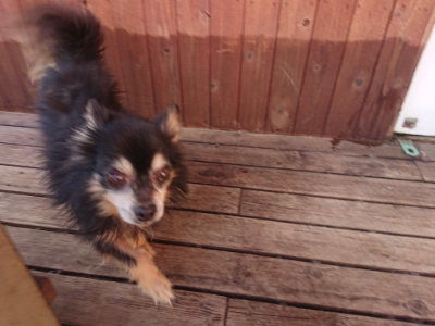 f:id:roukenhome-ann:20190613204549j:plain