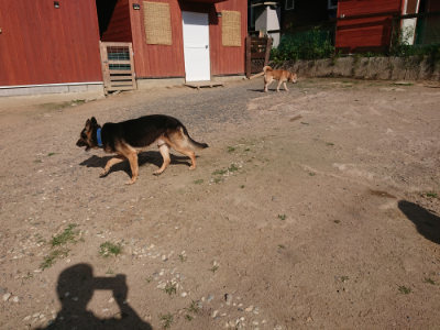 f:id:roukenhome-ann:20190613204557j:plain