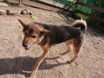 f:id:roukenhome-ann:20190613204612j:plain