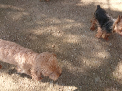 f:id:roukenhome-ann:20190613205003j:plain