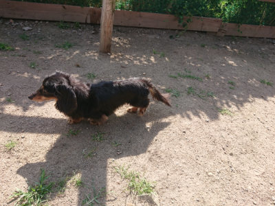 f:id:roukenhome-ann:20190613205008j:plain