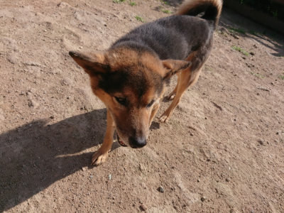 f:id:roukenhome-ann:20190613205020j:plain