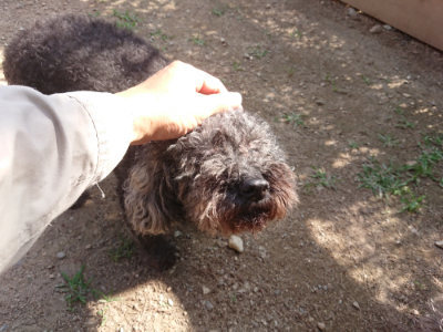 f:id:roukenhome-ann:20190613205026j:plain