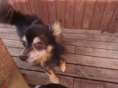 f:id:roukenhome-ann:20190613205032j:plain