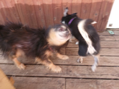 f:id:roukenhome-ann:20190613205037j:plain