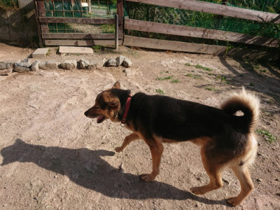 f:id:roukenhome-ann:20190613205044j:plain