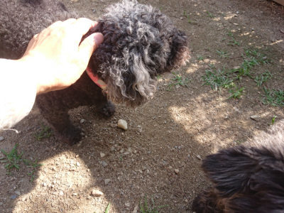 f:id:roukenhome-ann:20190613205055j:plain