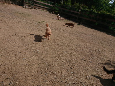 f:id:roukenhome-ann:20190613205138j:plain