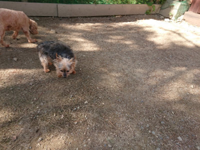 f:id:roukenhome-ann:20190613205150j:plain