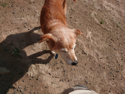 f:id:roukenhome-ann:20190613205211j:plain