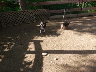 f:id:roukenhome-ann:20190613205216j:plain