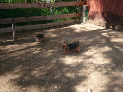 f:id:roukenhome-ann:20190613205317j:plain