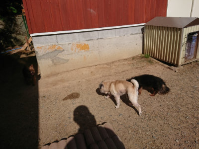 f:id:roukenhome-ann:20190613205323j:plain