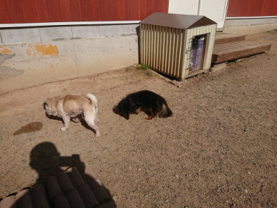 f:id:roukenhome-ann:20190613205330j:plain