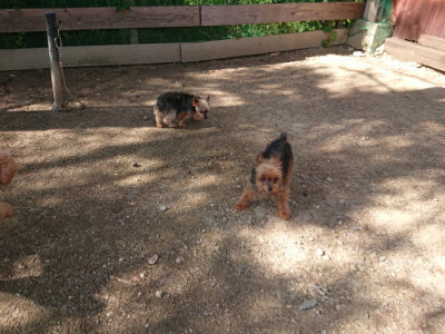 f:id:roukenhome-ann:20190613205342j:plain