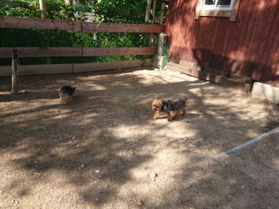 f:id:roukenhome-ann:20190613205413j:plain