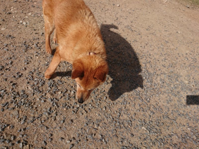 f:id:roukenhome-ann:20190613205425j:plain