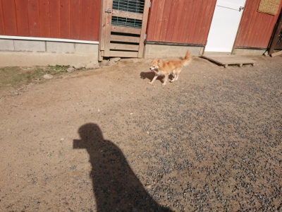 f:id:roukenhome-ann:20190613205430j:plain